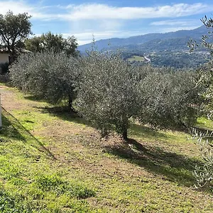 Vigna De' Luceri , Loceri Italia